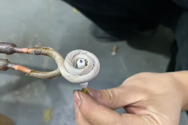 �����l�����O�䣬�ֳ�ʽ�����l���C��ͨ�ž����Ӵ��